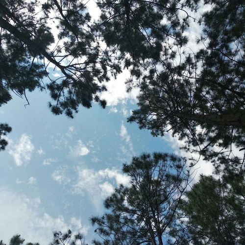苏瓷唯美清新蓝色系背景图