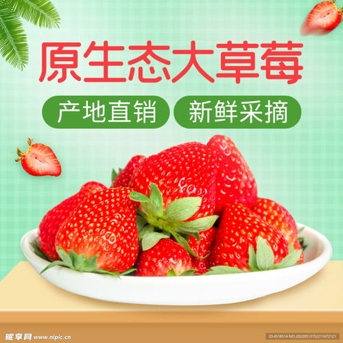 草莓主图直通车设计图淘宝装修模板淘宝界面设计