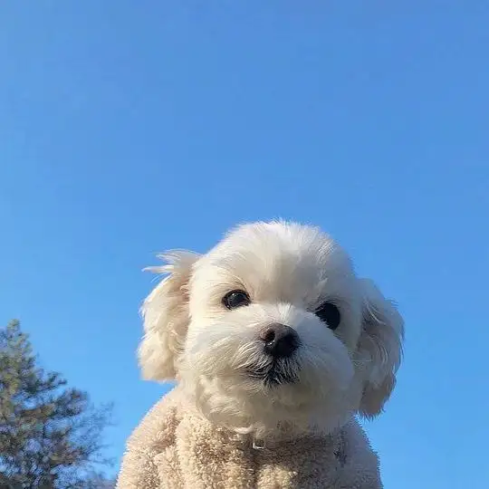 的相册小动物都是治愈系