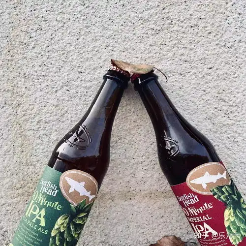 推荐几个好喝的精酿啤酒的品牌,尤其是ipa双倍最好