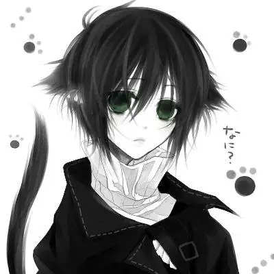 猫耳少年