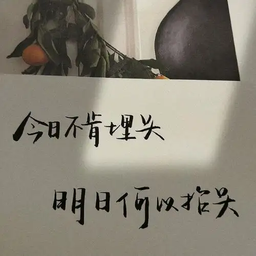可以分享一些你认为很温柔或者很励志的句子吗