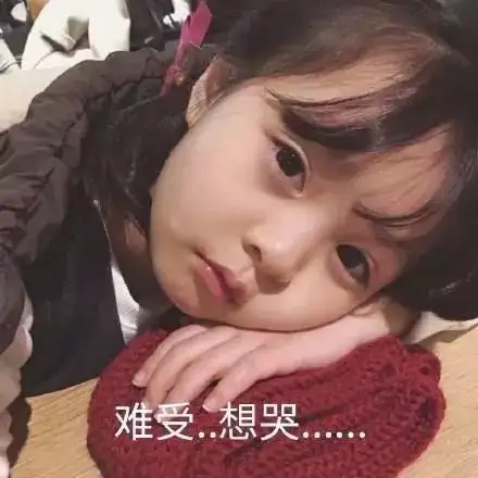 你了没了没