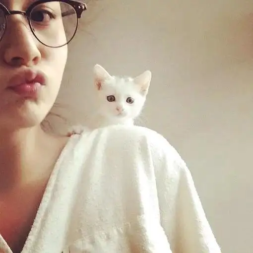 让男人上瘾的猫系女人是什么样的这五个特征,给我牢牢记住