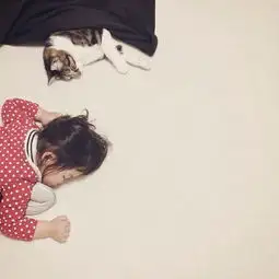 绝对治愈系照片孩子与猫咪的日常生活