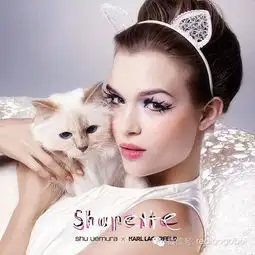猫狗不如它一年赚300万欧,你呢你呢