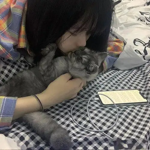 头像图片丨女生头像丨可爱的猫系女头1214