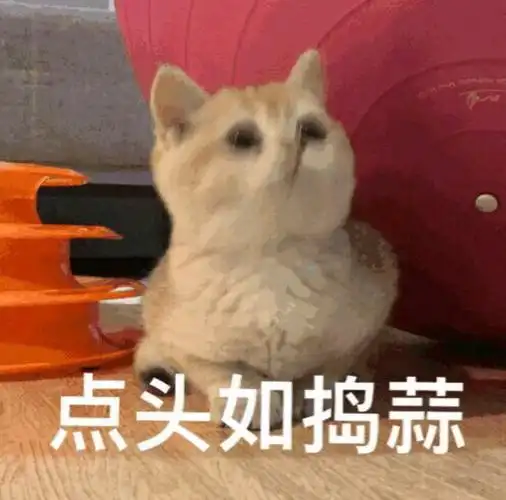 点头如捣蒜
